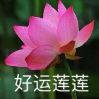 恶魔不撒谎游戏下载